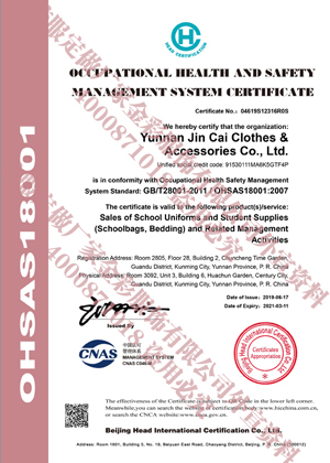职业健康安全管理体系认证证书（英文WX）